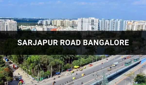 Featured Image of Bellary Road